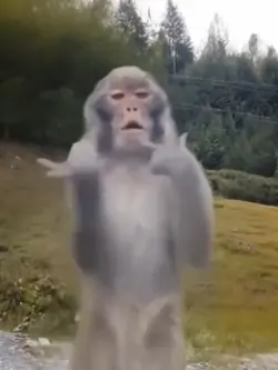 dukun jombang