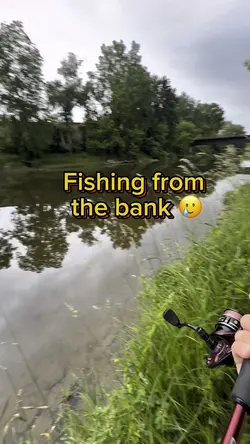 Kayak ftw