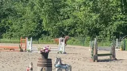 Scooby did so well