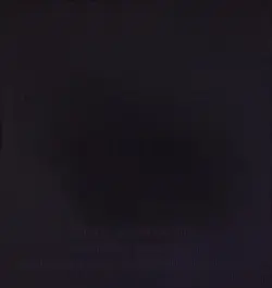 Trending Edit Goat