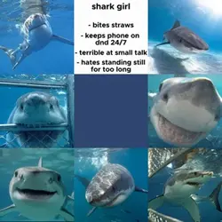 Shark girl