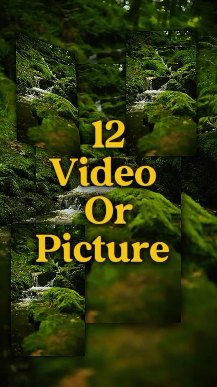 12 vidéo ou photo 