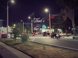 Shape of my heart