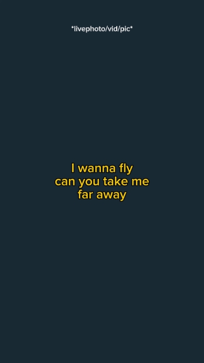 I wanna fly