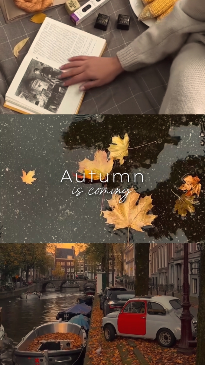 Autumn is coming