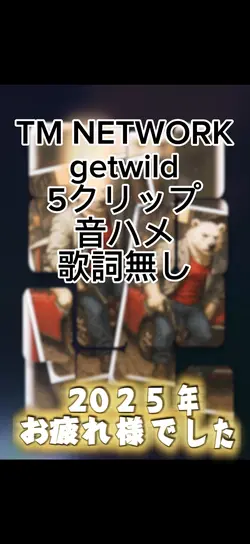 TM NETWORK ゲットワイルド