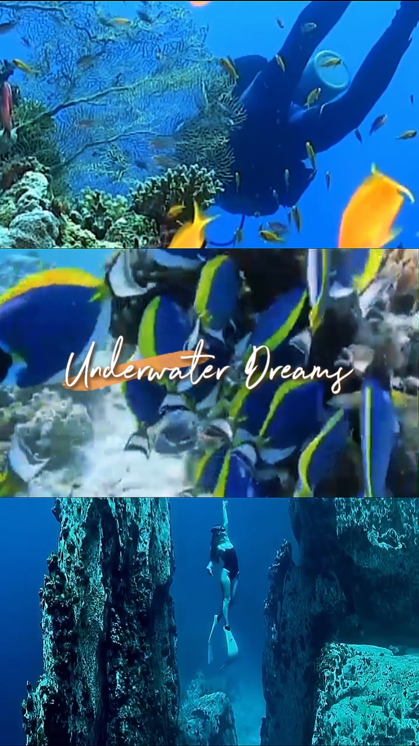 Underwater Dreams 