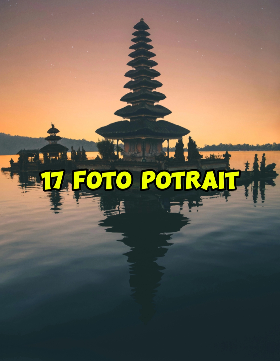 17 foto potre