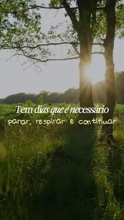 Frase de Reflexão