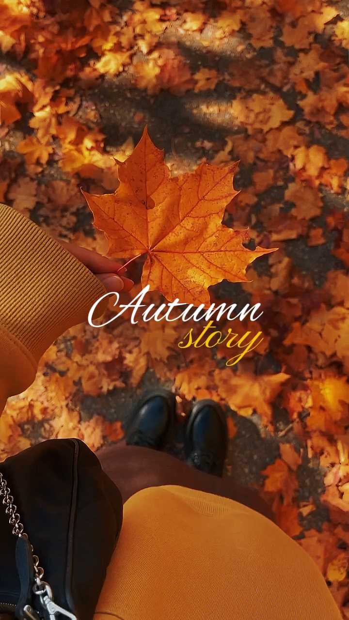 AUTUMN STORY 