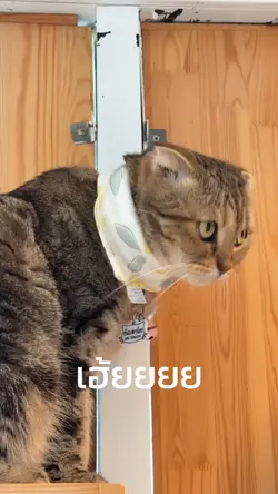 เราปากดีก็พอแล้ว