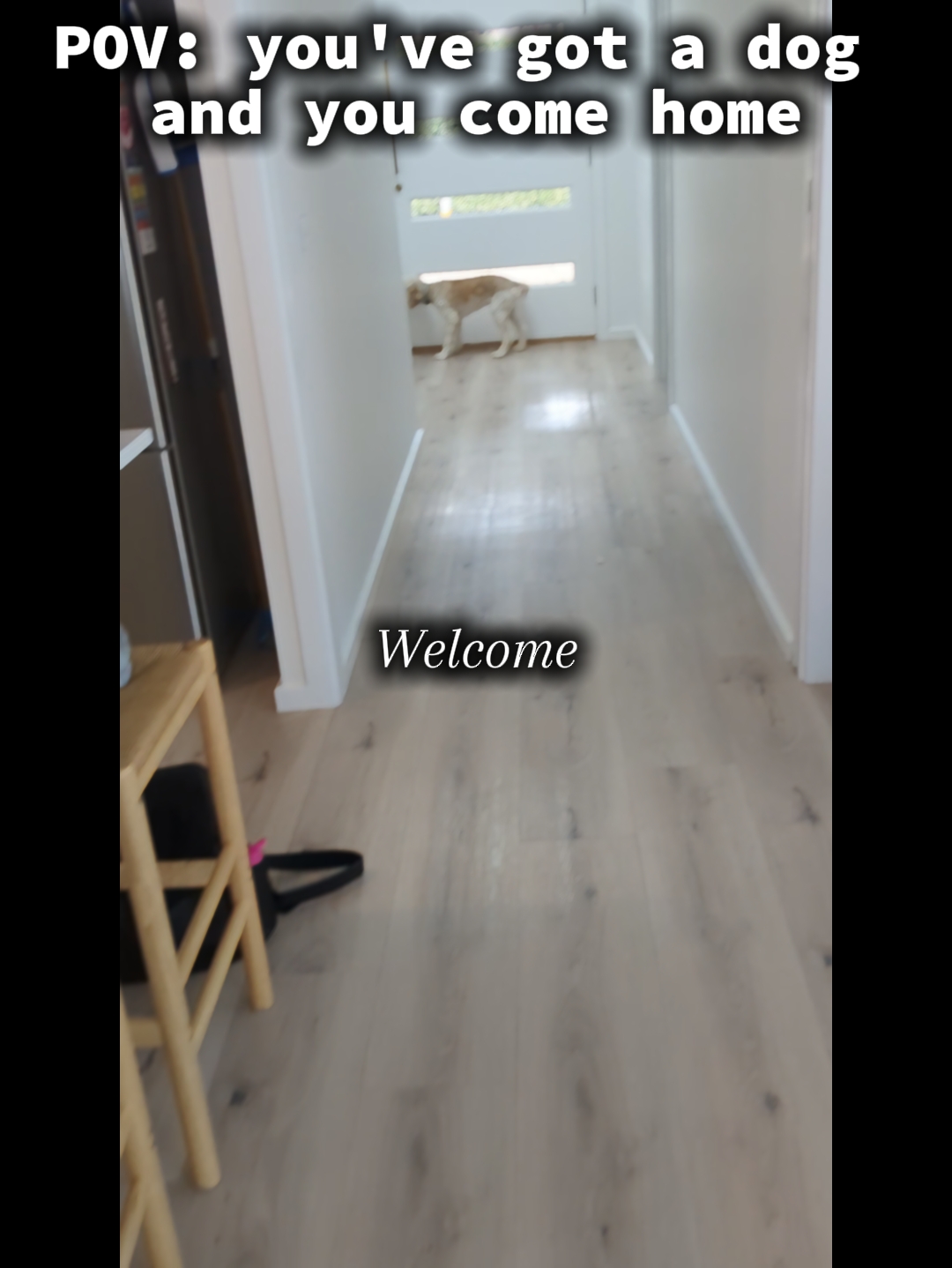 Bienvenido a casa