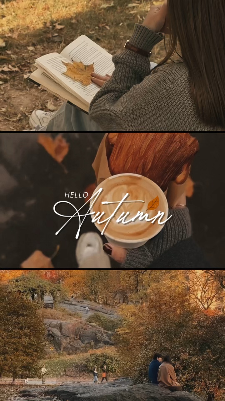 Olá Outono 🍂