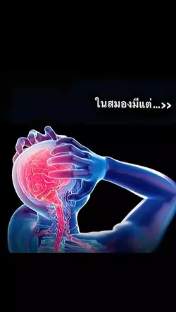 ในสมองอ้ายมีเเต่รถ