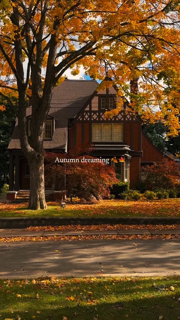 Soñando en otoño