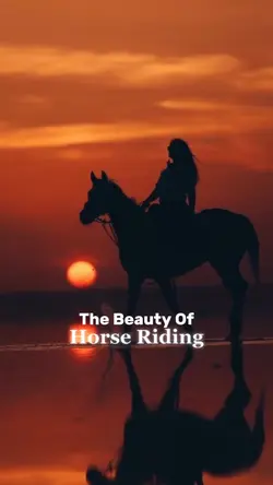 The Beauty of Horses