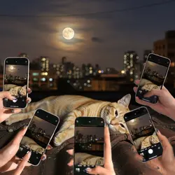 カメラのフラッシュがたくさん！