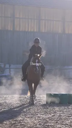 Horse Therapy 