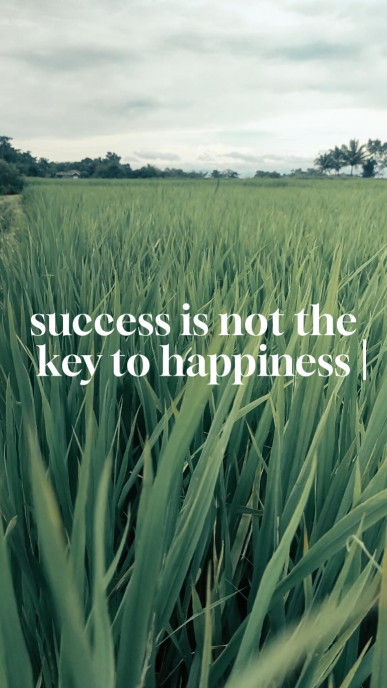 successful 