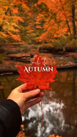 Touch Of Autumn 🍂