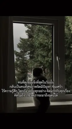 สู้ชีวิตจังเลยน้อเราา