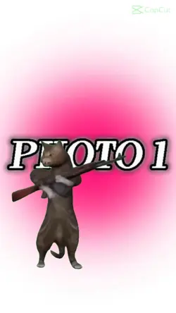Cat wer with Ak47