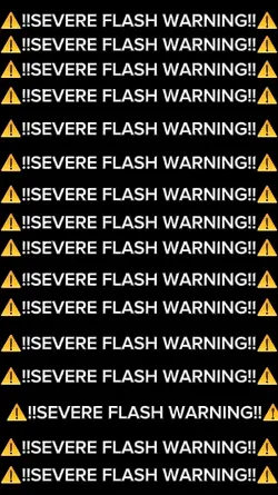 SEVERE FLASH WARNING