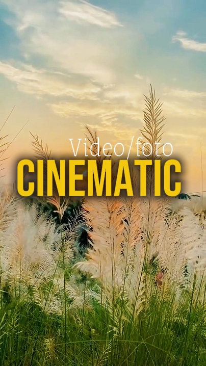4 clipes de vídeo 