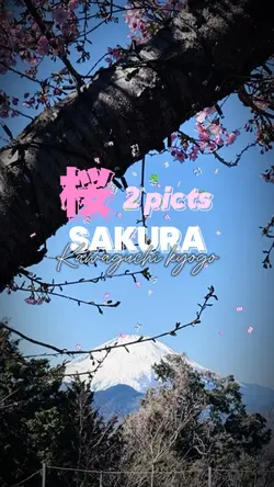 Sakura_ Kawaguchi
