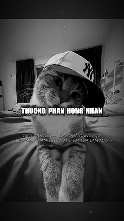 THƯƠNG PHẬN HỒNG NHA