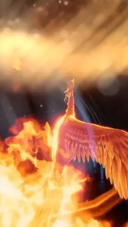 Phoenix 