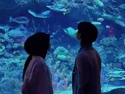 kapan terakhir berte