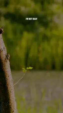 Im Not Ok