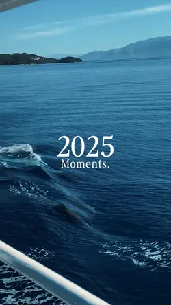 Dump 2025