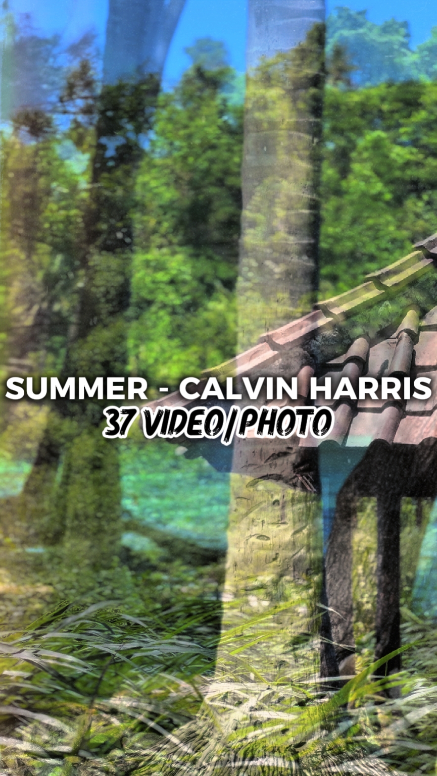 VERÃO CALVIN HARRIS