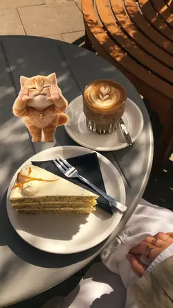 cat dance