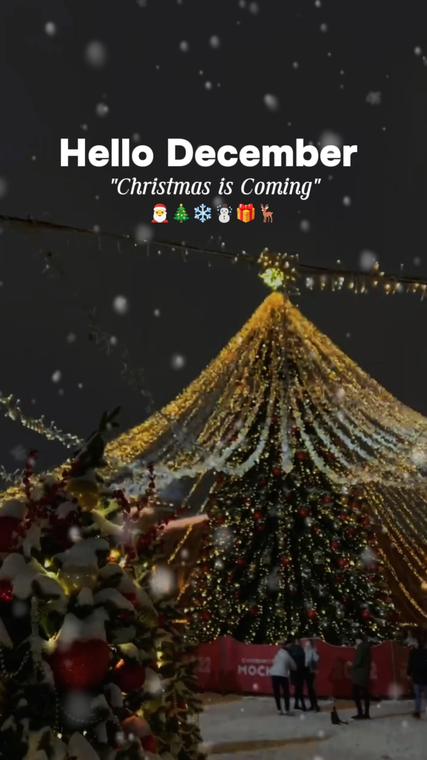 O natal está chegando 
