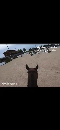 my dream
