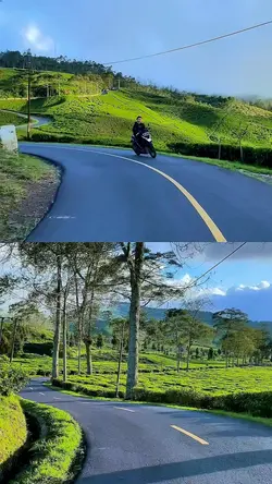 2 video kolase