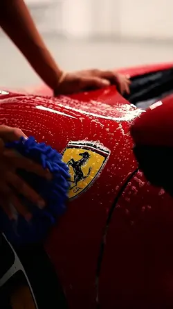 Estética automotiva 