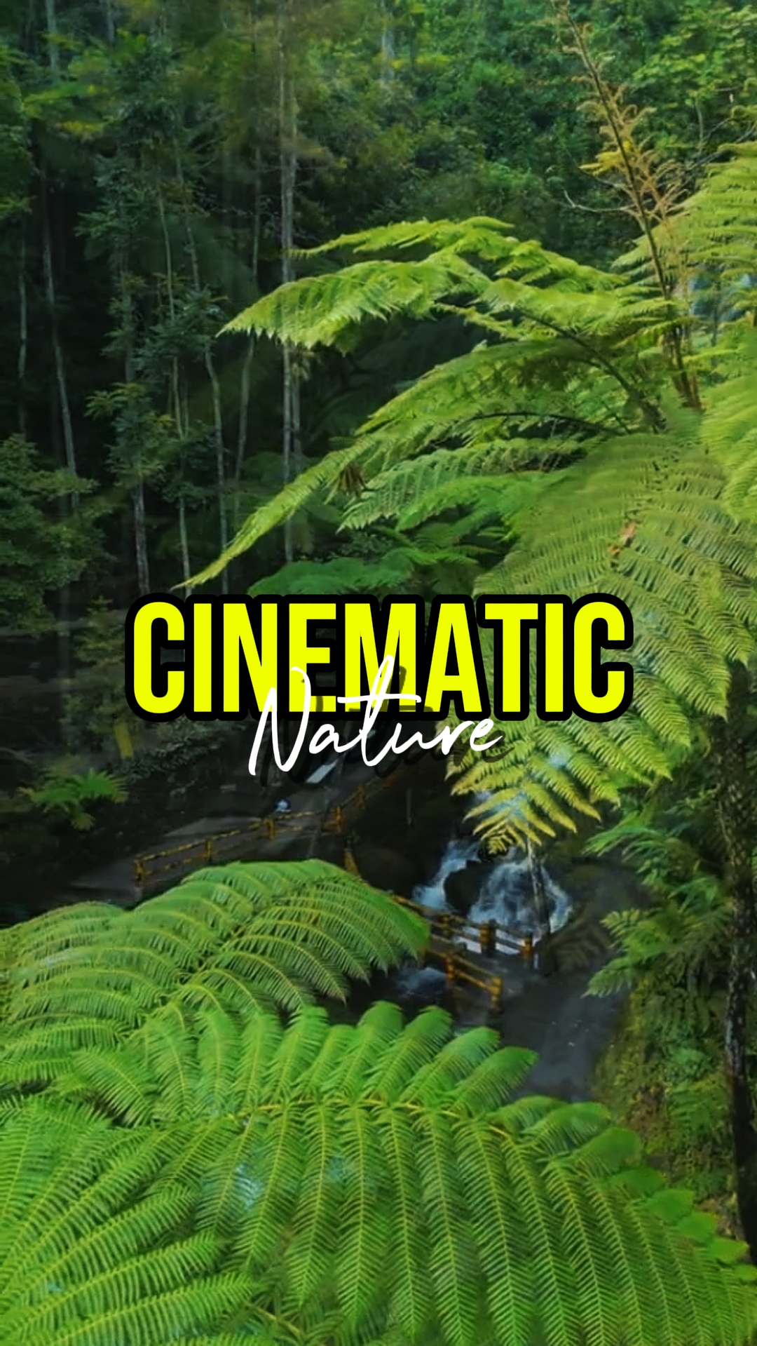 NATURE CINÉMATIQUE