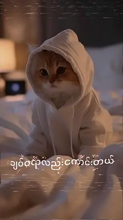 ติ๊กต๊อกที่เป็นไวรัล