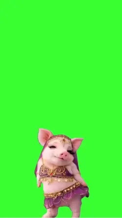 Pig dance