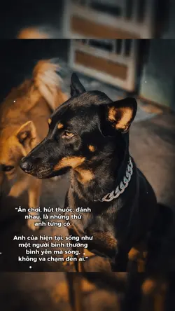 Anh Của Hiện Tại
