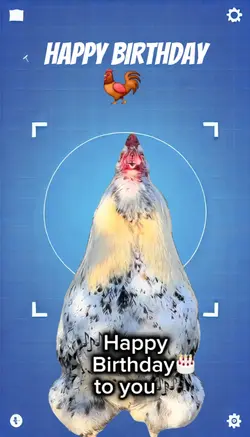 BIRTHDAY ROOSTER