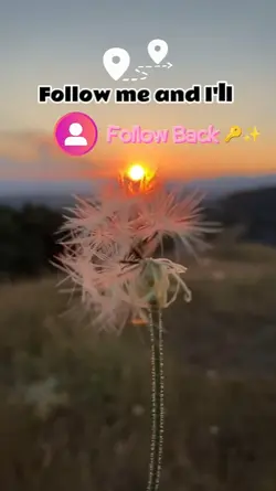 Gain followers