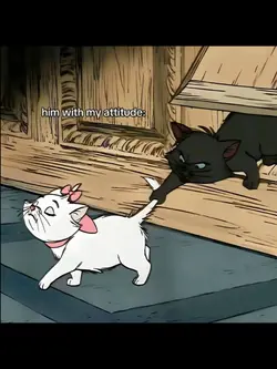 him with my attitude