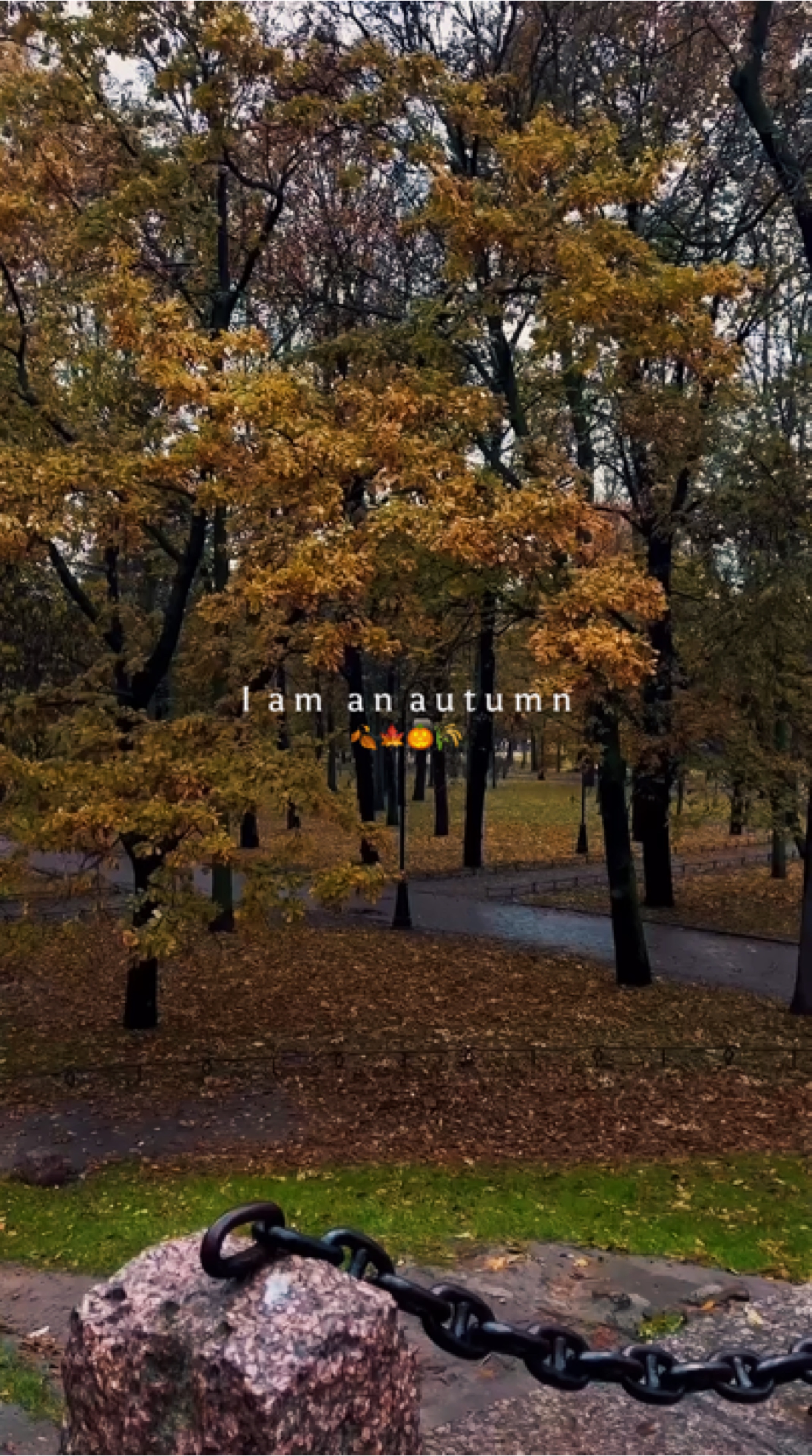 I am an autumn 🍁🍂