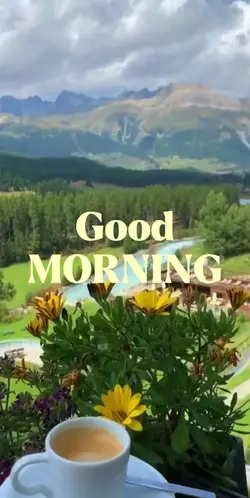 Good Mornin