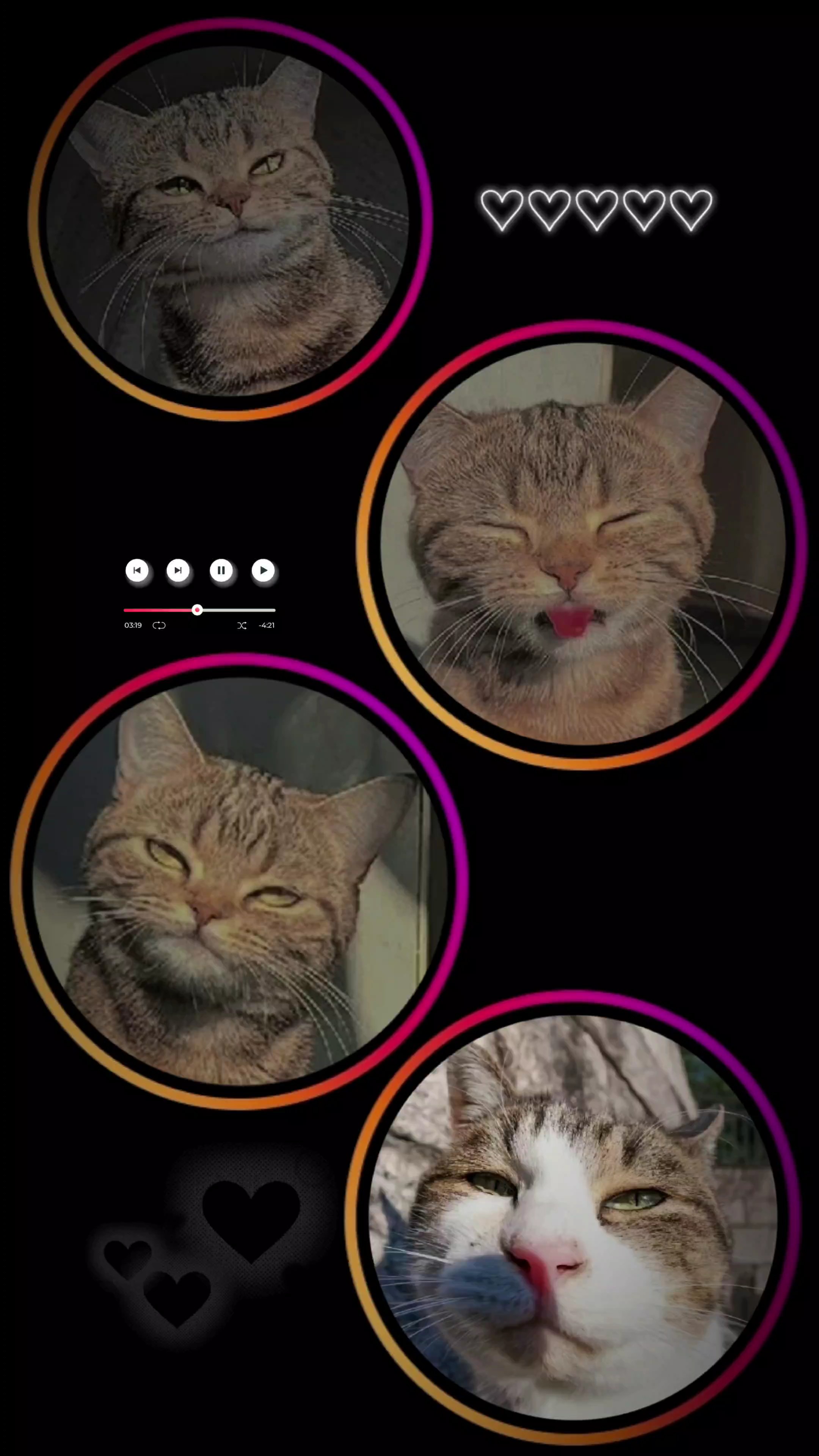 4 pic cuteee